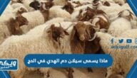 ماذا يسمى سيلان دم الهدي في الحج من 2 حروف