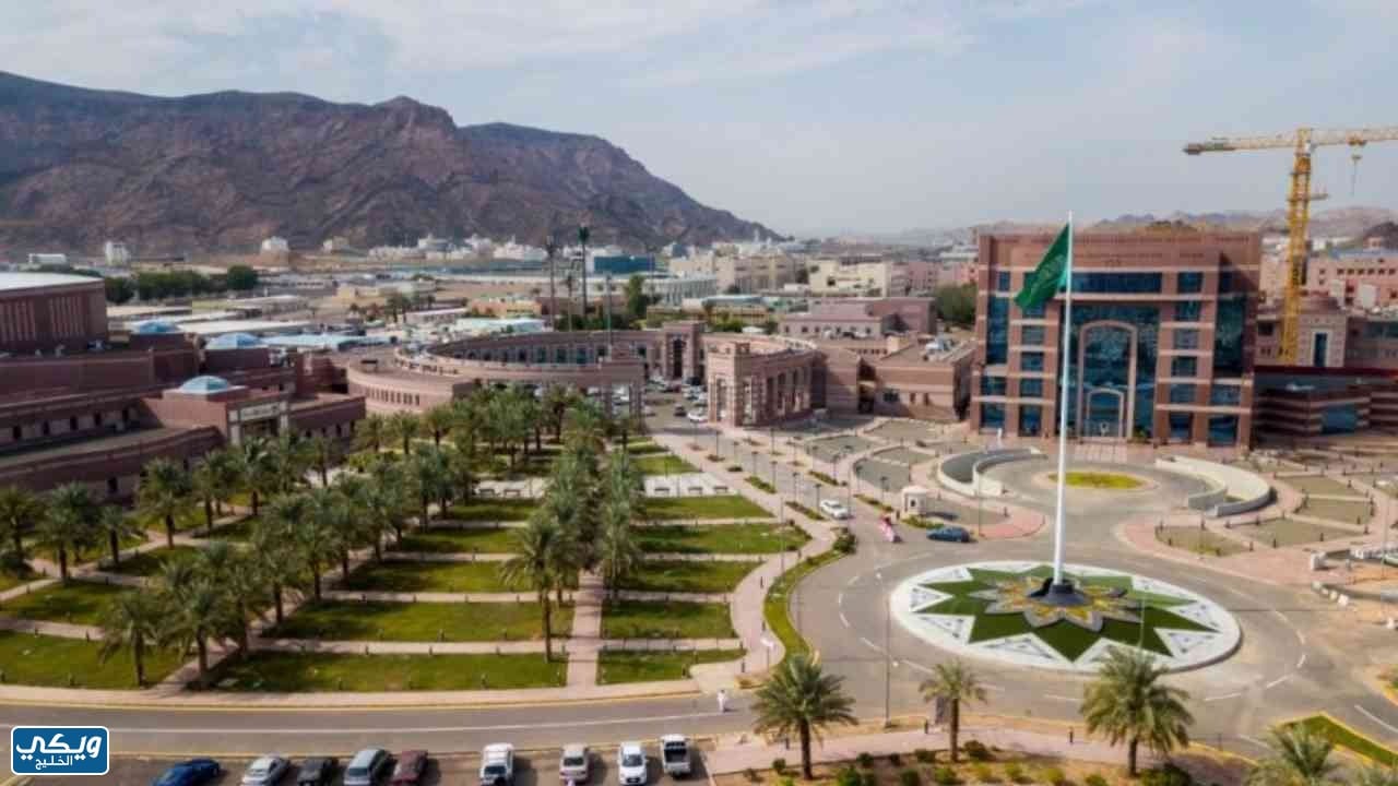 شروط التسجيل في جامعة طيبة