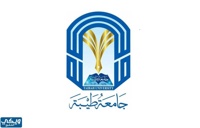 جامعة طيبة