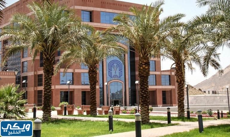 النسب الموزونة في جامعة طيبة