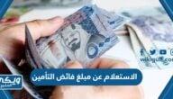 طريقة الاستعلام عن مبلغ فائض التأمين 1445 بالخطوات