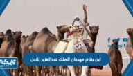 اين يقام مهرجان الملك عبدالعزيز للابل