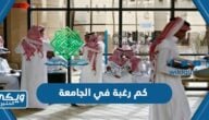 كم رغبة في الجامعة في السعودية 2024 وكيفية ترتيب الرغبات 