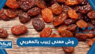 وش معنى زبيب بالمغربي