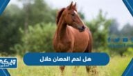 هل لحم الحصان حلال ام حرام