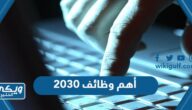 أهم وظائف 2030 المطلوبة في السعودية للبنات والشباب