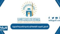 الدخول الموحد الجامعة الإسلامية بالمدينة المنورة sso.iu.edu.sa