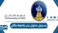 تسجيل دخول بنر جامعة حائل 1446 “الرابط والخطوات”