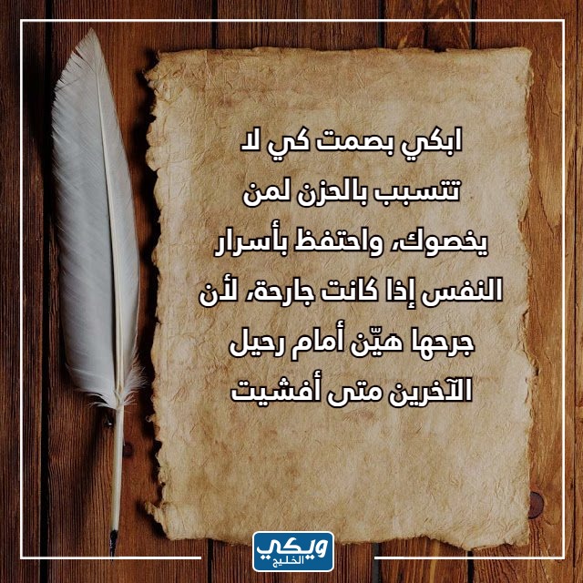 أمثال قوية للرد