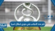 كم عدد الاجانب في دوري ابطال اسيا 2024