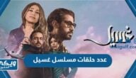 كم عدد حلقات مسلسل غسيل