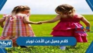 كلام جميل عن الأخت تويتر مكتوب وبالصور