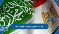 كم عدد المصريين في السعودية 2024