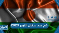 كم عدد سكان النيجر 2024