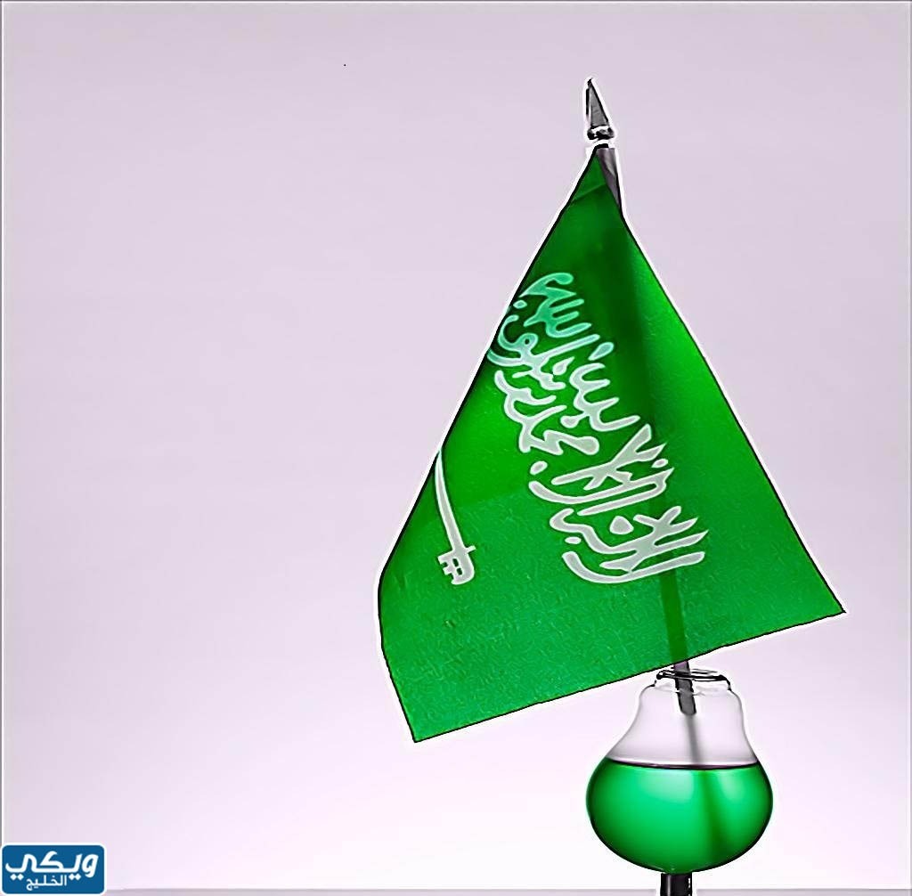 صور عن اليوم الوطني 2023 مميزة