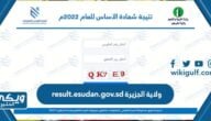 result.esudan.gov.sd ولاية الجزيرة النتيجة 2023 