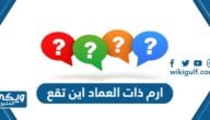 ارم ذات العماد اين تقع