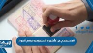 الاستعلام عن تأشيرة السعودية برقم الجواز 1446 الرابط والخطوات