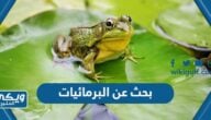 بحث عن البرمائيات مختصر مع المصادر والمراجع pdf