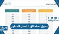 جدول استحقاق الضمان المطور كامل 1446