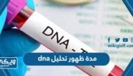 كم مدة ظهور تحليل dna في السعودية