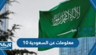 10 معلومات عن المملكة العربية السعودية ومميزاتها