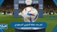 كم عدد نقاط الدوري السعودي  2024