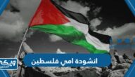 انشودة امي فلسطين كلمات ورابط التحميل mp3 المباشر