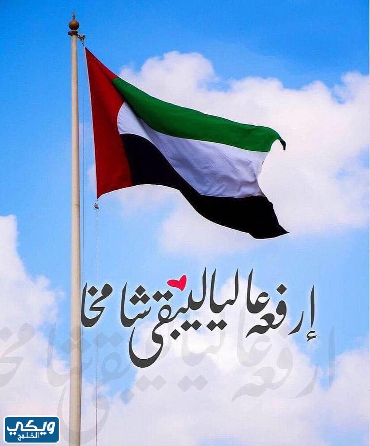 ثيمات يوم العلم الاماراتي