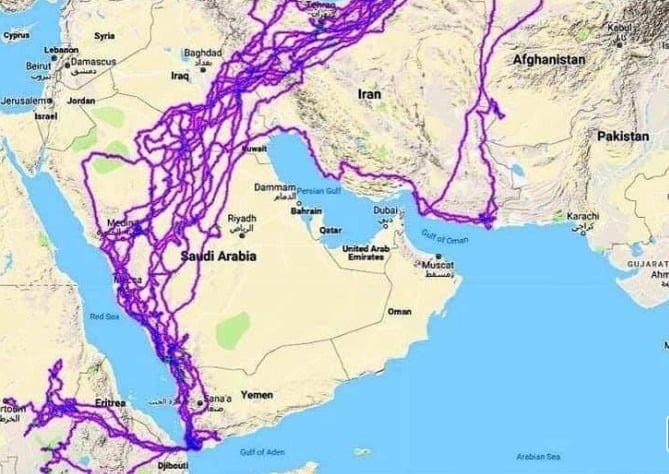 خريطة هجرة الصقور في المملكة العربية السعودية في شهر اكتوبر