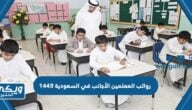 رواتب المعلمين الأجانب في السعودية 1446