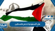 هل السعودية تدعم فلسطين