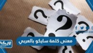 معنى كلمة سايكو بالعربي والانجليزي