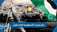 كم تبرعت السعوديه لفلسطين عبر التاريخ