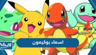 اسماء شخصيات بوكيمون مع الصور