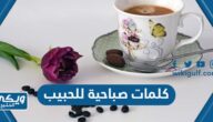 أجمل كلمات صباحية للحبيب رومانسية مكتوبة مع الصور